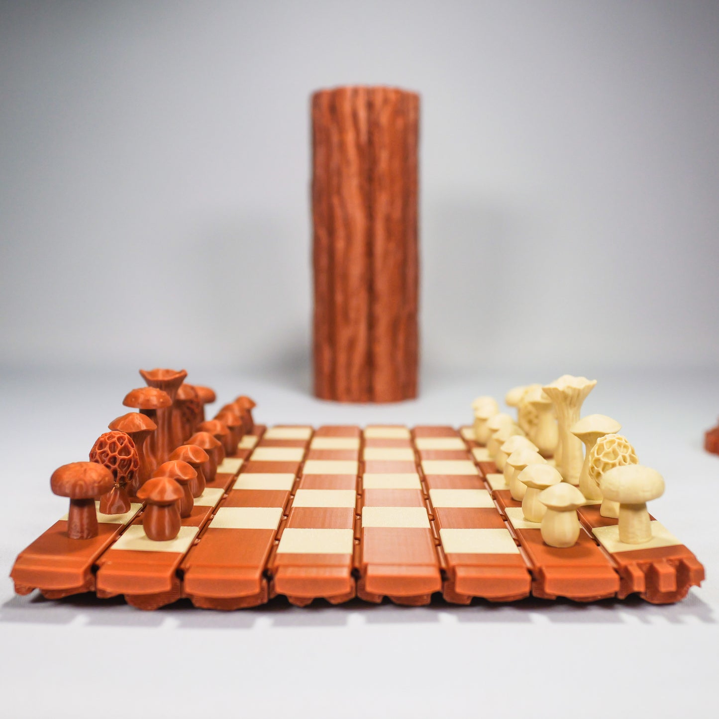Echiquier - Edition Nature (jeu de dames inclus)