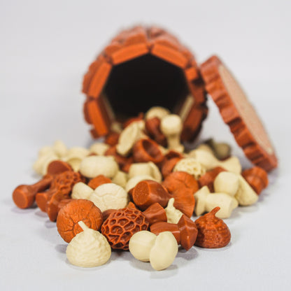 Echiquier - Edition Nature (jeu de dames inclus)